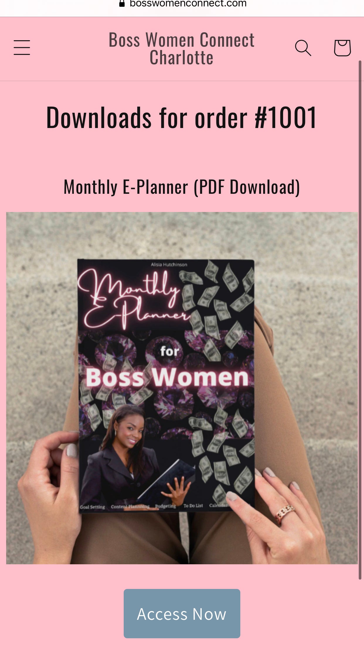 Boss Lady Lifetime  E-Planner (PDF Instant Download)